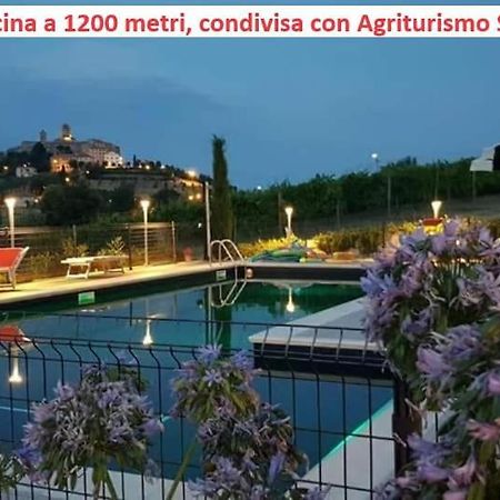 Agriturismo Galanti Cossignano Exterior photo